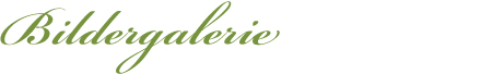 tl_files/headlines/hl06.jpg